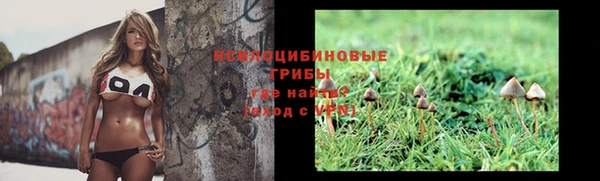 Альфа ПВП Медвежьегорск