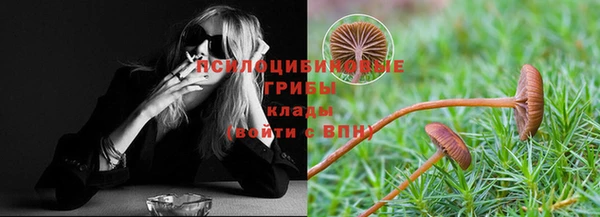 ГАЛЛЮЦИНОГЕННЫЕ ГРИБЫ Медногорск