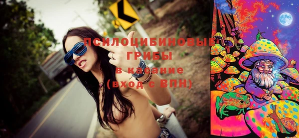 Альфа ПВП Медвежьегорск