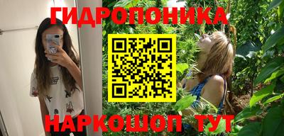 спиды Бийск