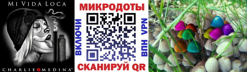 продажа наркотиков  Приморско-Ахтарск  Псилоцибиновые грибы Psilocybine cubensis 