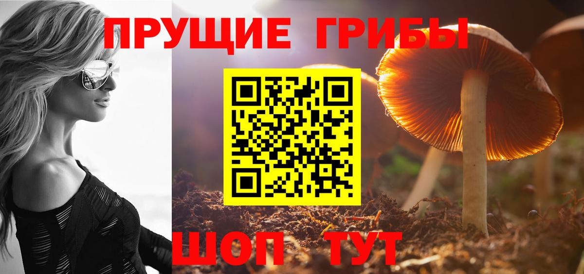 Псилоцибиновые грибы Magic Shrooms Приморско-Ахтарск