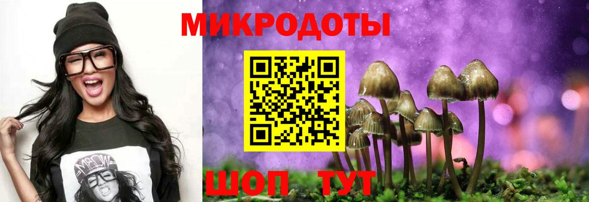 Приморско-Ахтарск  Галлюциногенные грибы ЛСД  Вход с VPN 